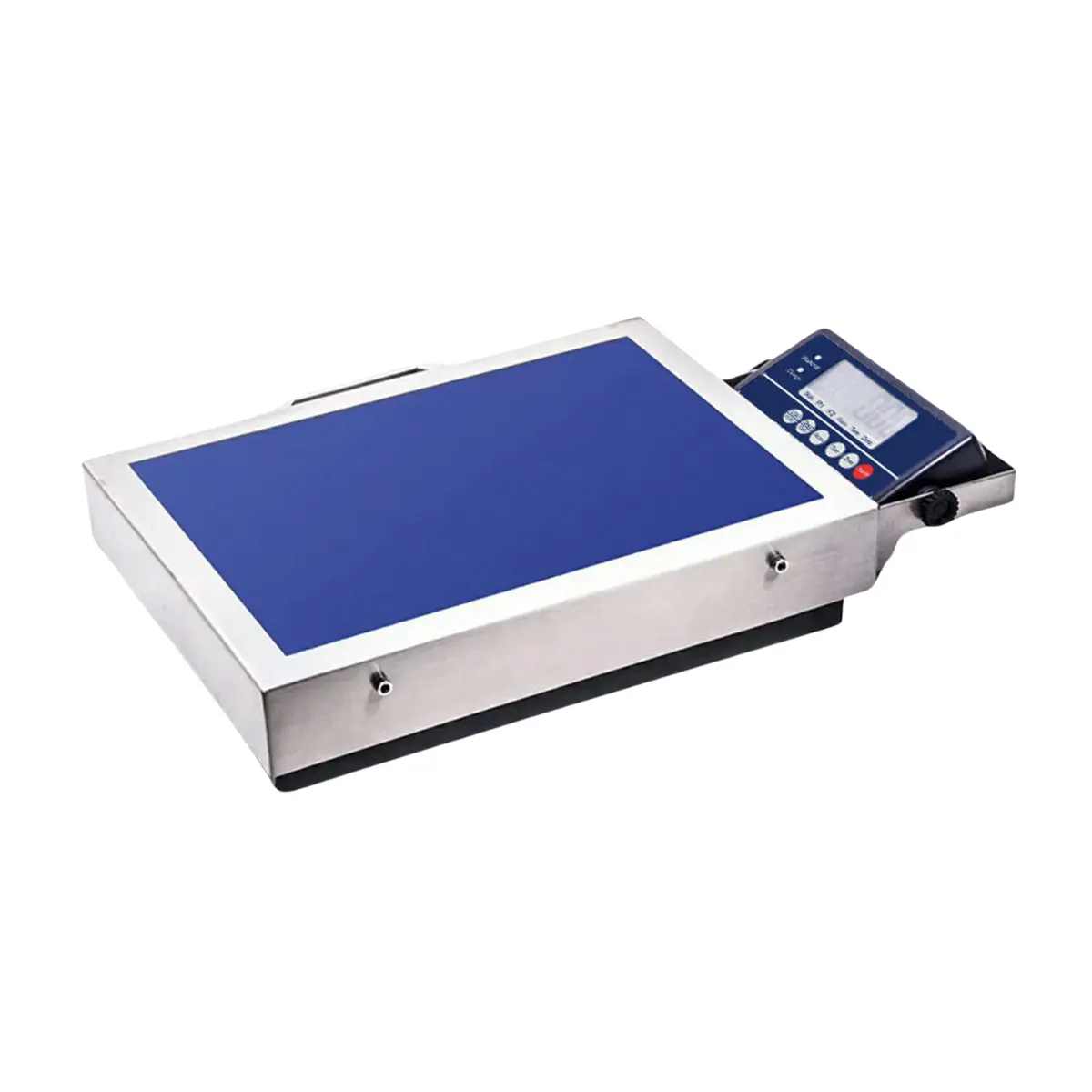 picture of best retail shipping weighing scales in dubai